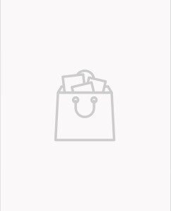 HerePro iStand